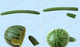 怎么做手工小乌龟