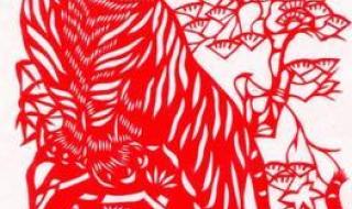 属鸡人2013年运势